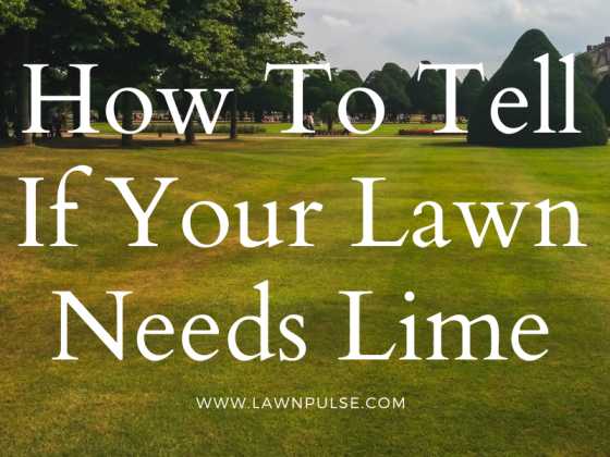 applying lime to lawn