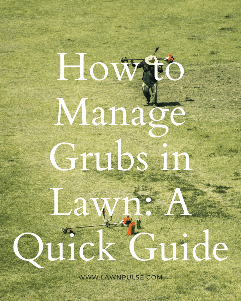 Manage Grubs in lawn