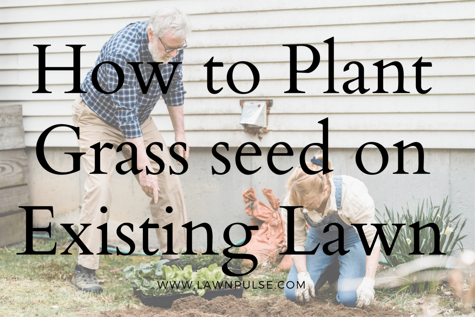 How to Plant Grass Seed on Existing Lawn