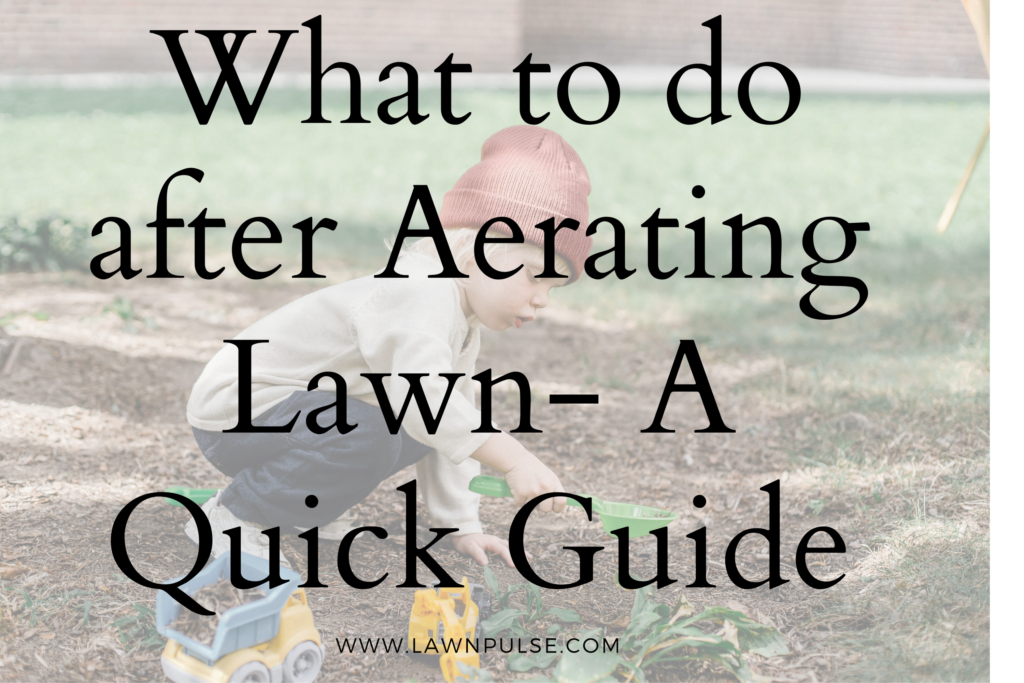 what to do after aerating lawn