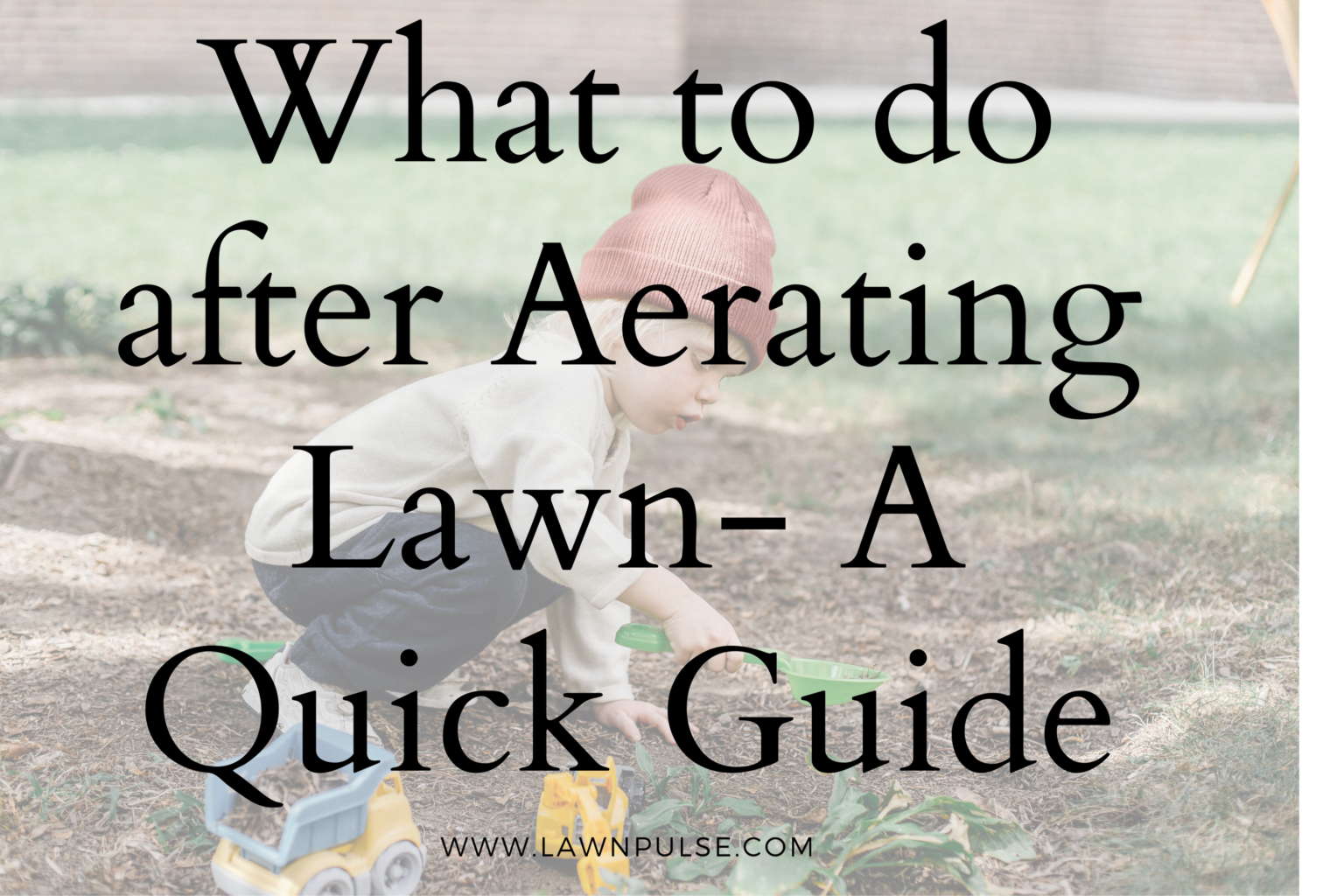 What to do after Aerating Lawn A Quick Guide