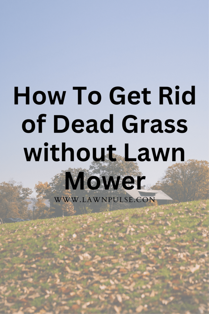 How to get rid of dead grass without lawn mowe