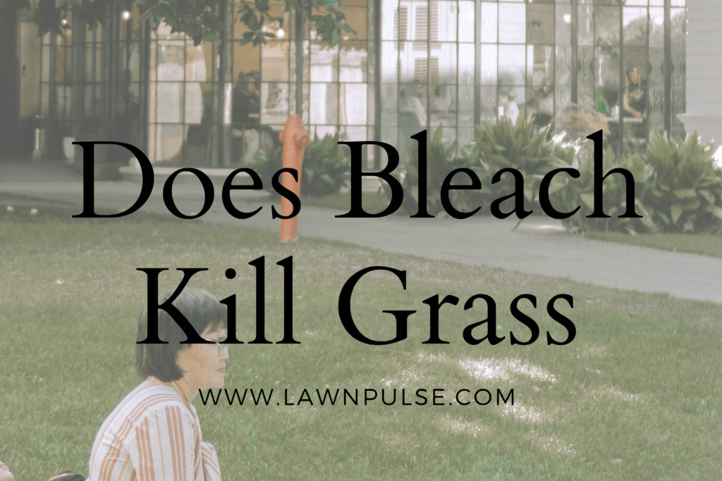 Does Bleach Kill Grass