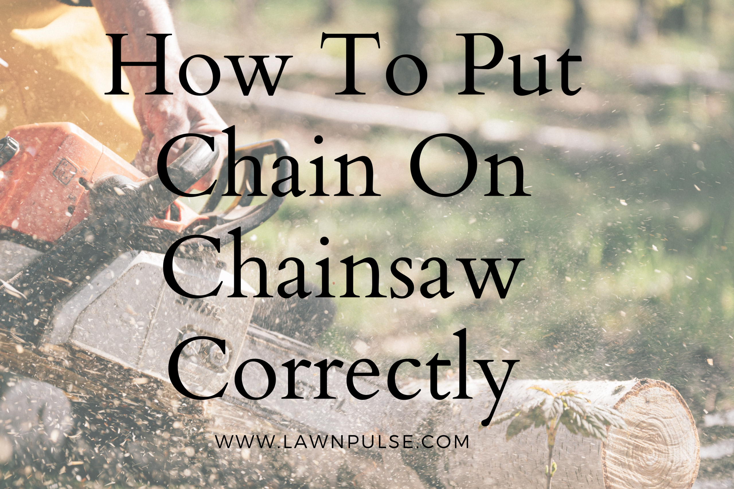 how to put chain on chainsaw correctlu