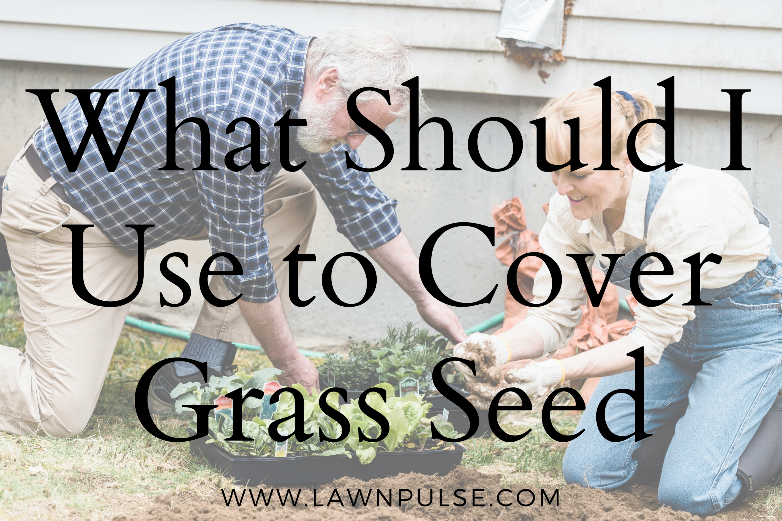 what should i use to cover grass seed