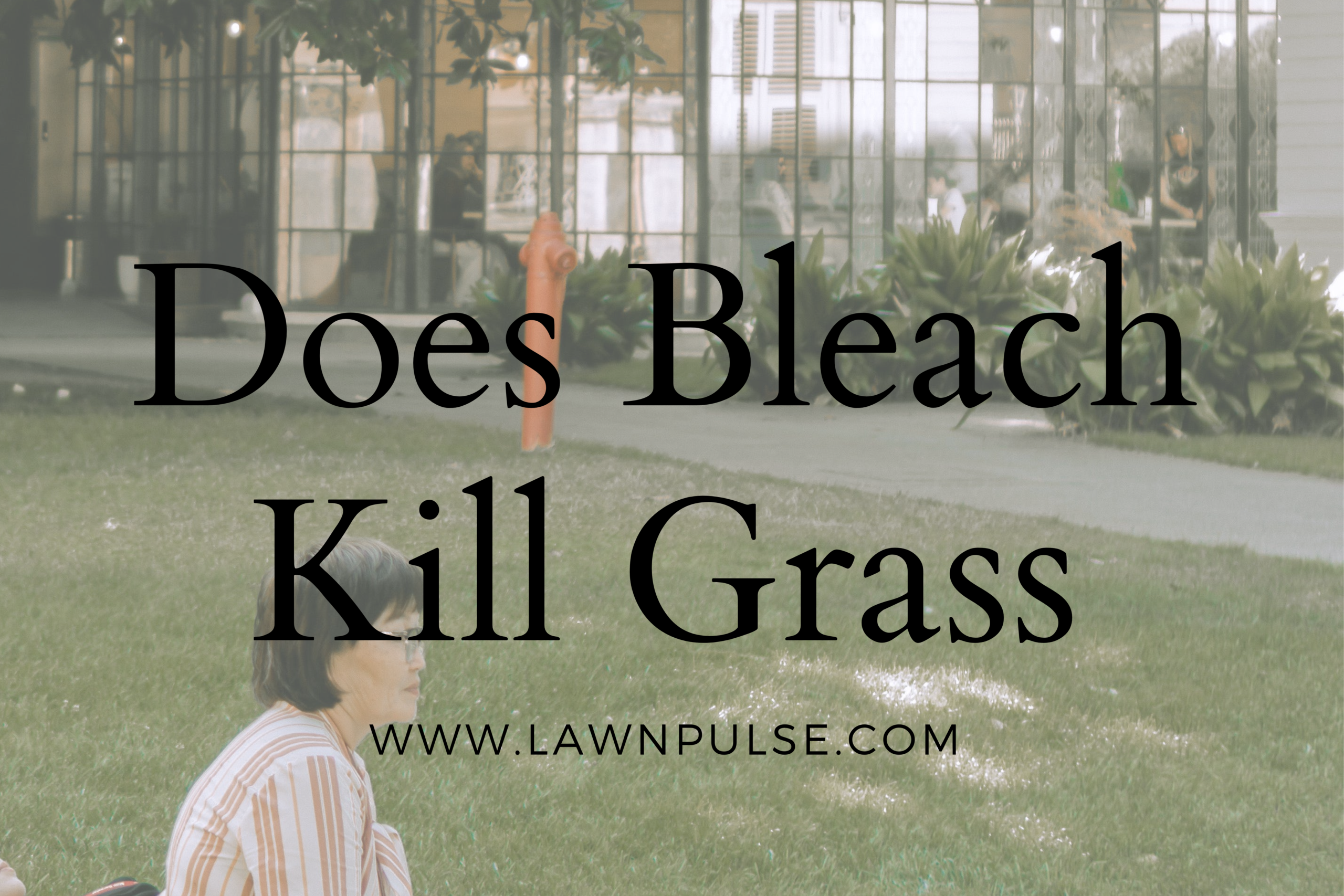 Does Bleach Kill Grass? A Comprehensive Guide (2023)