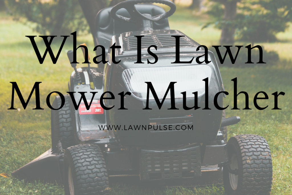 What Is Lawn Mower Mulcher 2024 Lawn Pulse   What Is Lawn Mower Mulcher 1024x683 