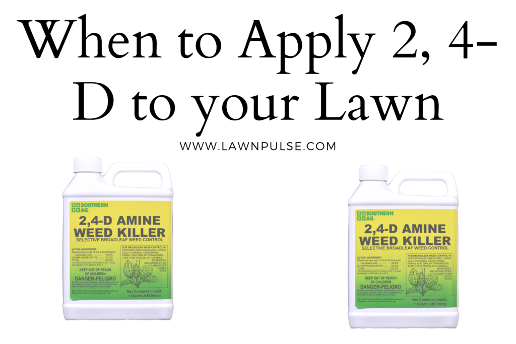 When to Apply 2, 4-D to your Lawn